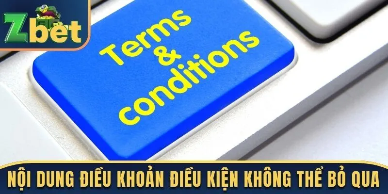 Nội dung điều khoản điều kiện không thể bỏ qua 