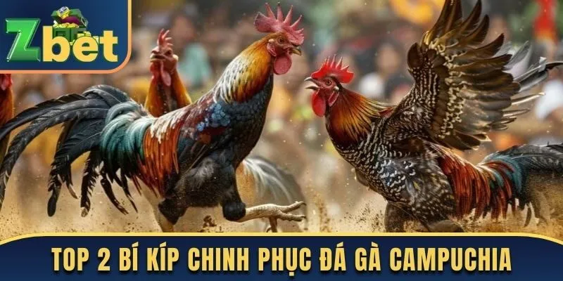 Top 2 bí kíp chinh phục đá gà Campuchia